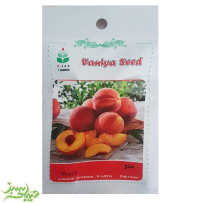 تصویر  بذر زردآلو