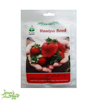تصویر  بذر توت فرنگی غول