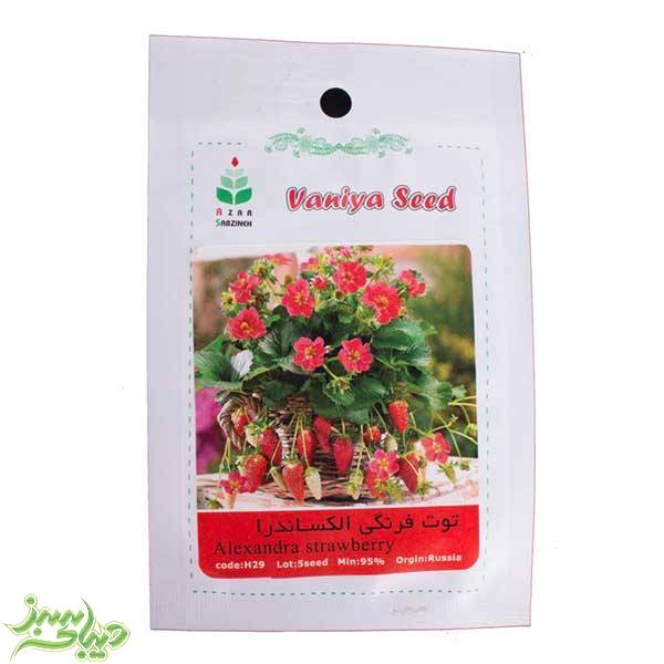 تصویر  بذر توت فرنگی الکساندرا