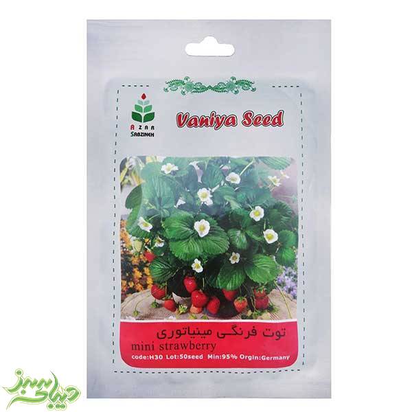 تصویر  بذر توت فرنگی مینیاتوری