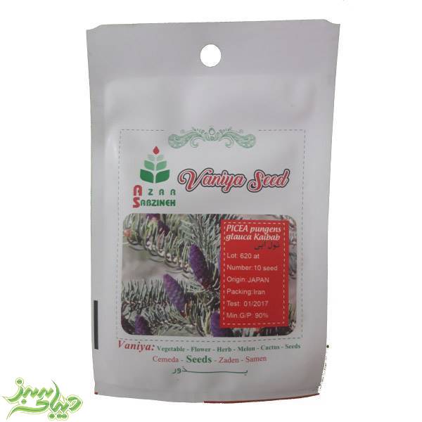 تصویر  بذر نول آبی