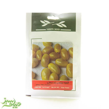 تصویر  بذر گوجه زیتونی زرد درختی