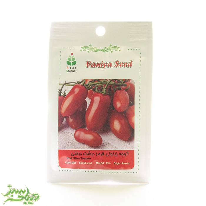 تصویر  بذر گوجه زیتونی قرمز درشت درختی