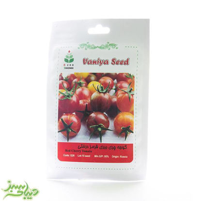 تصویر  بذر گوجه چری ببری قرمز درختی