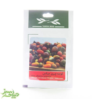تصویر  بذر گوجه چری میکس