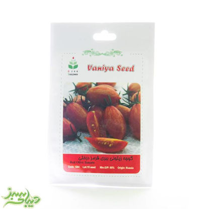 تصویر  بذر گوجه زیتونی ببری قرمز درختی