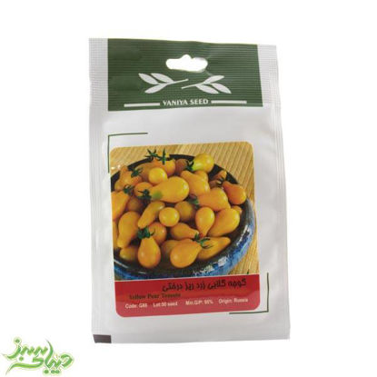 تصویر  بذر گوجه گلابی زرد ریز درختی