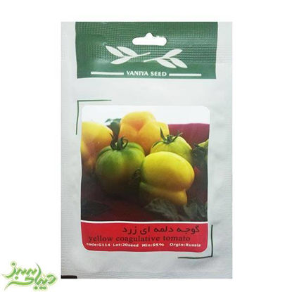 تصویر  بذر گوجه دلمه ای زرد