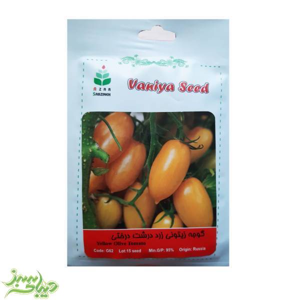 تصویر  بذر گوجه زیتونی زرد درشت درختی