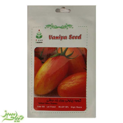 تصویر  بذر گوجه زیتونی ببری زرد درختی