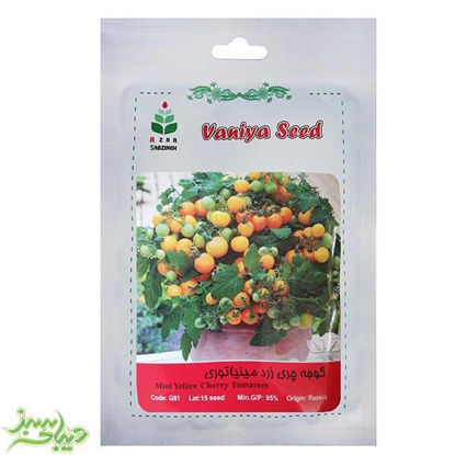 تصویر  بذر گوجه چری زرد مینیاتوری