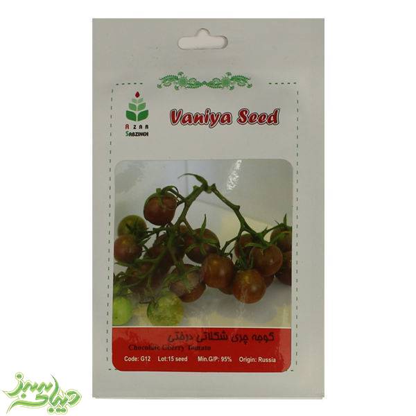 تصویر  بذر گوجه چری شکلاتی درختی
