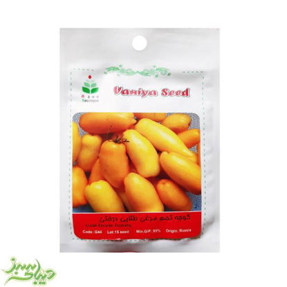 تصویر  بذر گوجه تخم مرغی طلایی درختی
