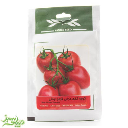 تصویر  بذر گوجه تخم مرغی قرمز درختی