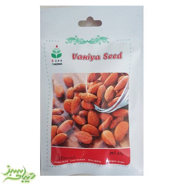 تصویر  بذر بادام