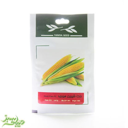 تصویر  بذر ذرت شیرین هیبرید