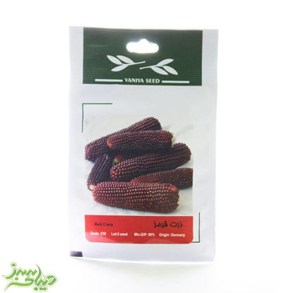 تصویر  بذر ذرت قرمز