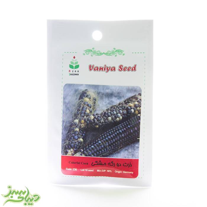 تصویر  بذر ذرت دو رگه مشکی