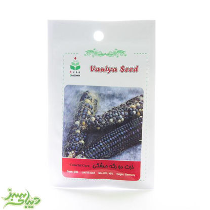 تصویر  بذر ذرت دو رگه مشکی