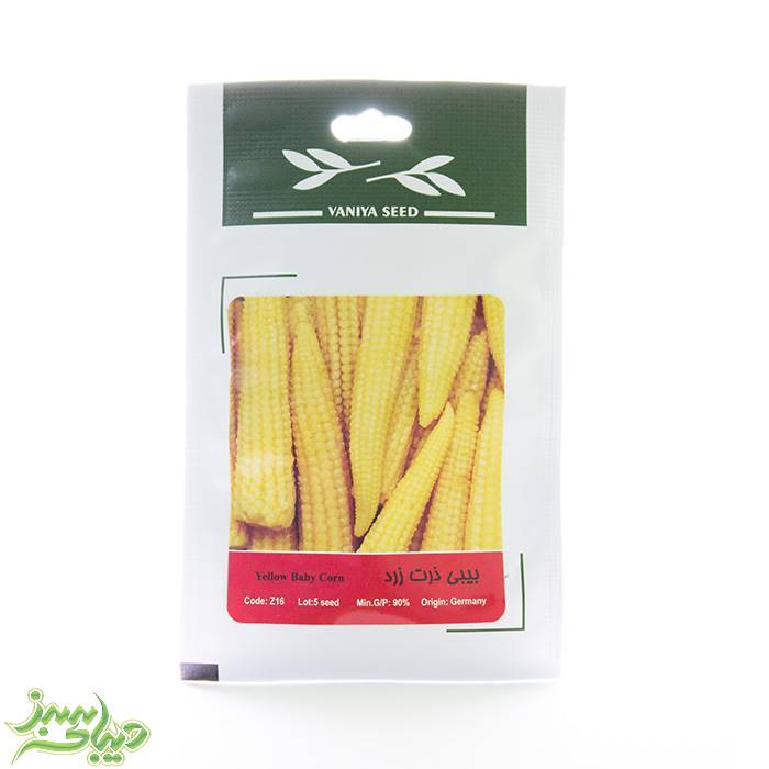 تصویر  بذر بیبی ذرت زرد