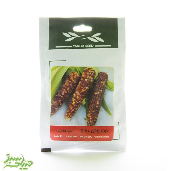 تصویر  بذر ذرت رنگی 80%