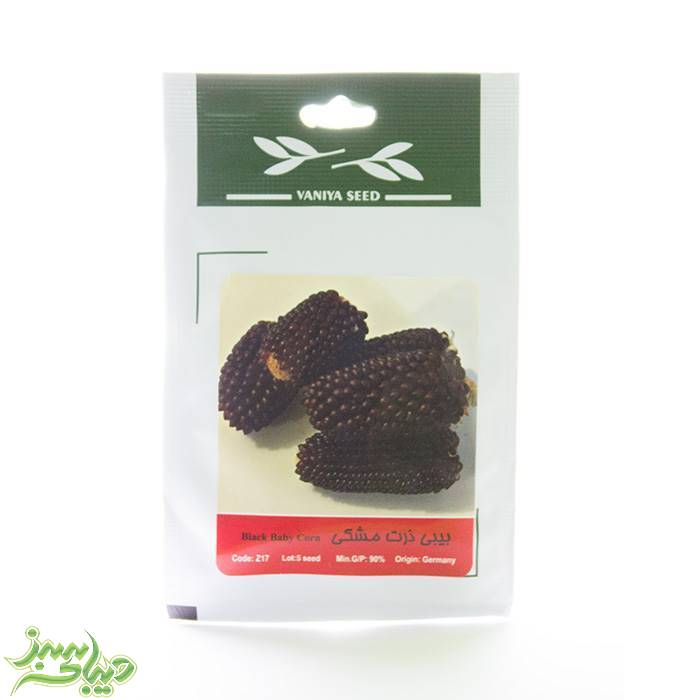 تصویر  بذر بیبی ذرت مشکی