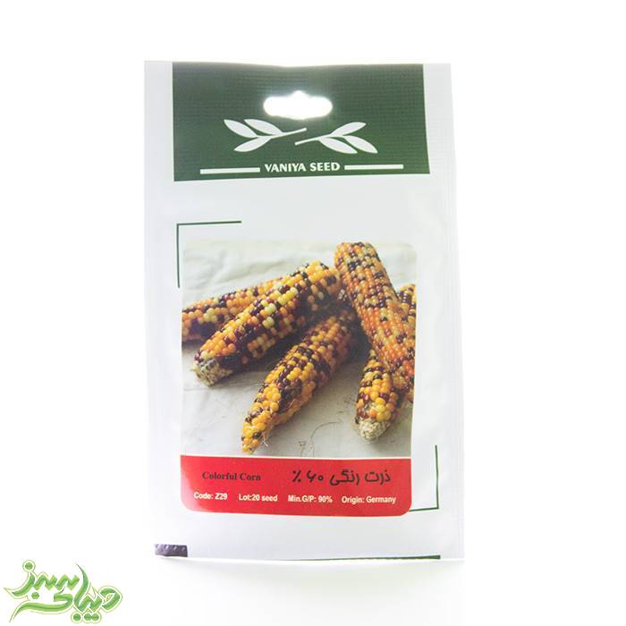 تصویر  بذر ذرت رنگی 60%