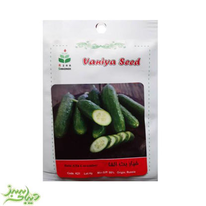 تصویر  بذر خیار بت آلفا