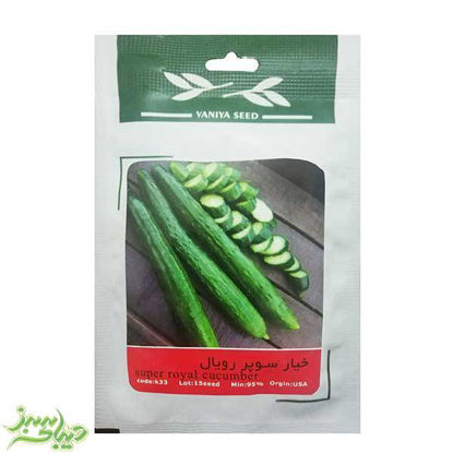 تصویر  بذر خیار سوپر رویال