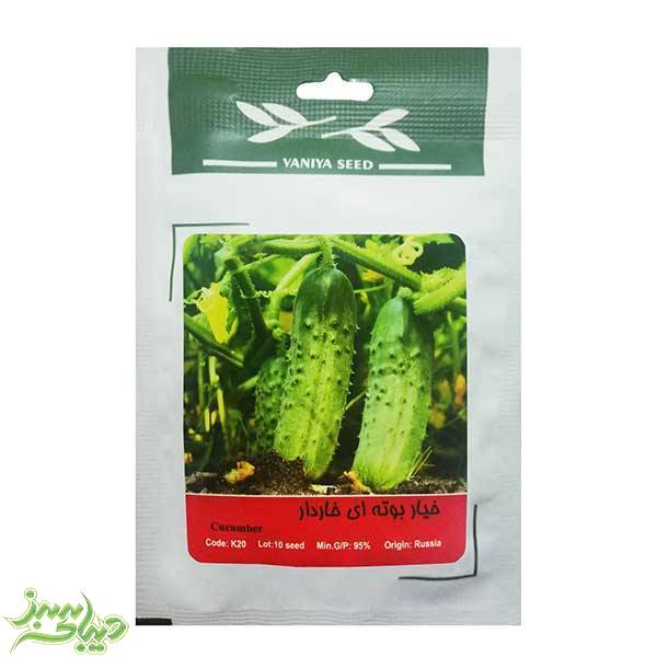 تصویر  بذر خیار بوته ای خاردار