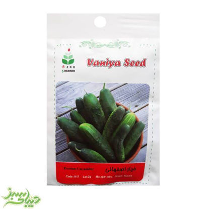 تصویر  بذر خیار اصفهانی