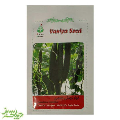 تصویر  بذر خیار درختی رسمی