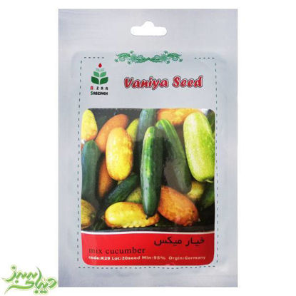 تصویر  بذر خیار میکس