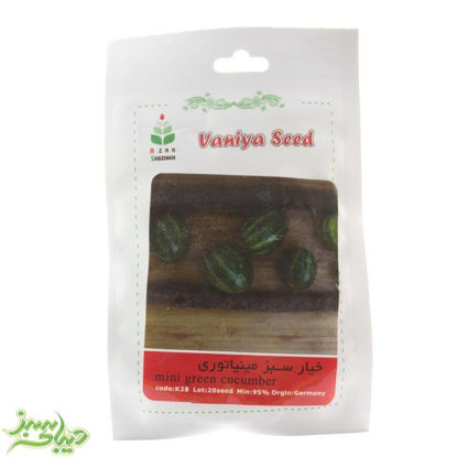 تصویر  بذر خیار سبز مینیاتوری