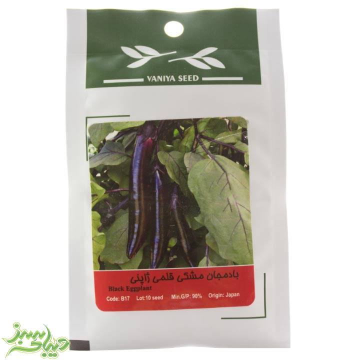 تصویر  بذر بادمجان مشکی قلمی ژاپنی