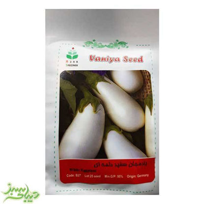 تصویر  بذر بادمجان سفید دلمه ای