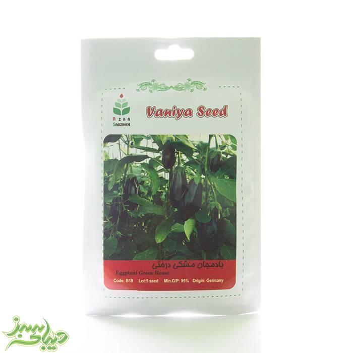 تصویر  بذر بادمجان مشکی درختی