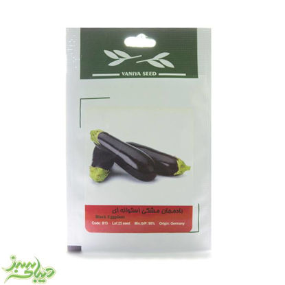 تصویر  بذر بادمجان مشکی استوانه ای