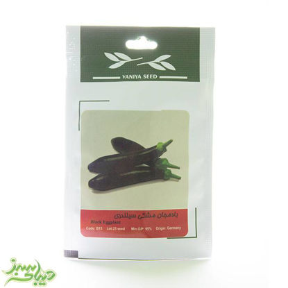 تصویر  بذر بادمجان مشکی سیلندری