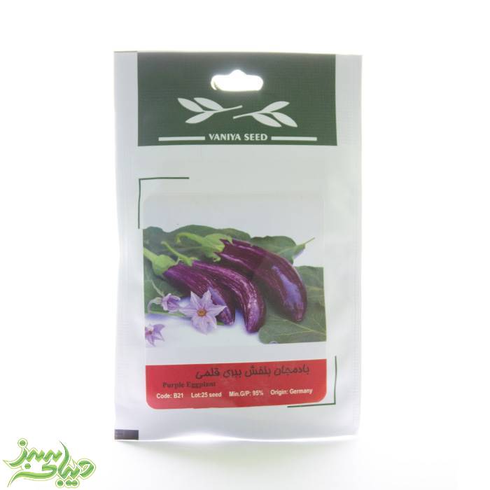 تصویر  بذر بادمجان بنفش ببری قلمی