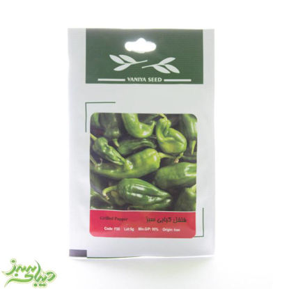 تصویر  بذر فلفل کبابی سبز