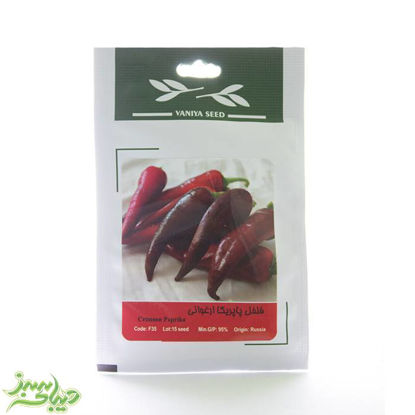 تصویر  بذر فلفل پاپریکا ارغوانی