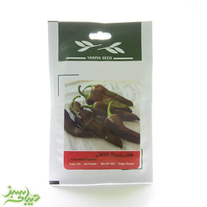 تصویر  بذر فلفل پاپریکا شکلاتی