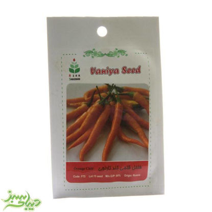 تصویر  بذر فلفل قلمی تند نارنجی