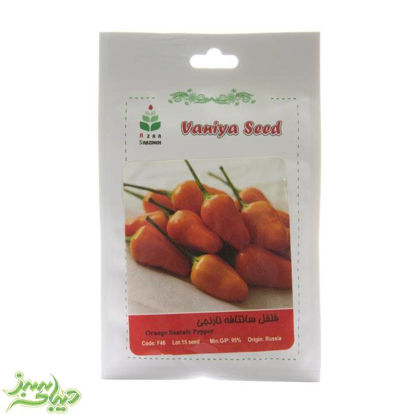 تصویر  بذر فلفل سانتافه نارنجی