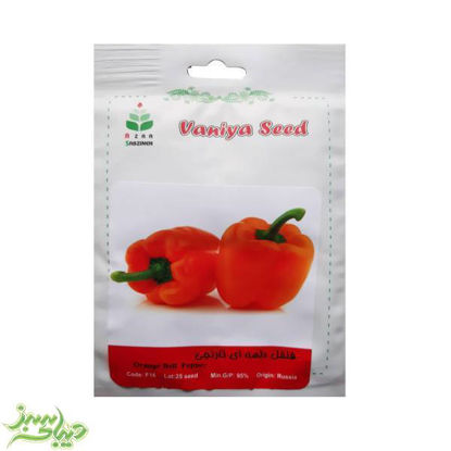 تصویر  بذر فلفل دلمه ای نارنجی