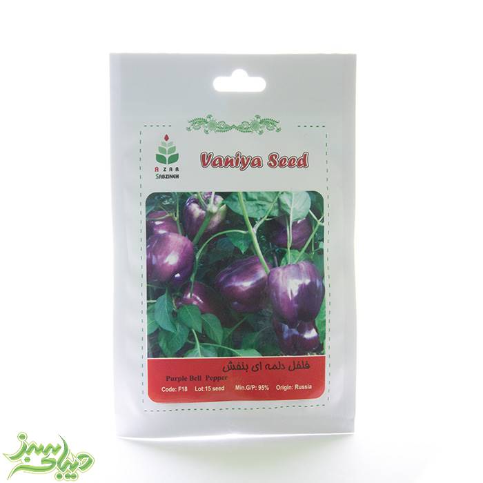تصویر  بذر فلفل دلمه ای بنفش