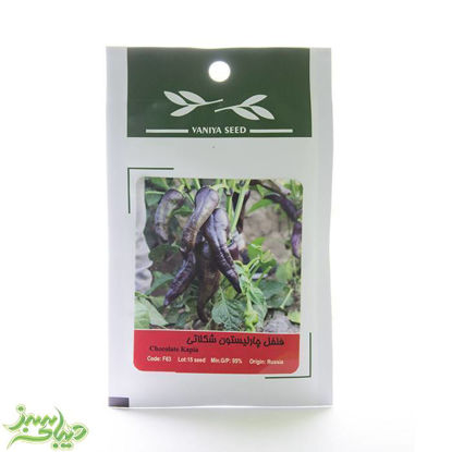 تصویر  بذر فلفل چارلیستون شکلاتی