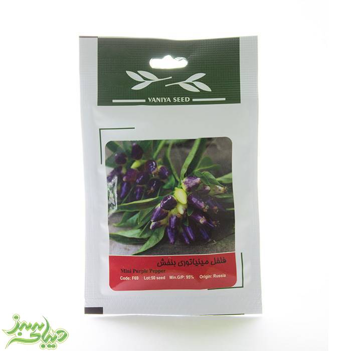 تصویر  بذر فلفل مینیاتوری بنفش