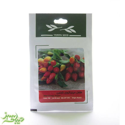 تصویر  بذر فلفل مینیاتوری نارنجی